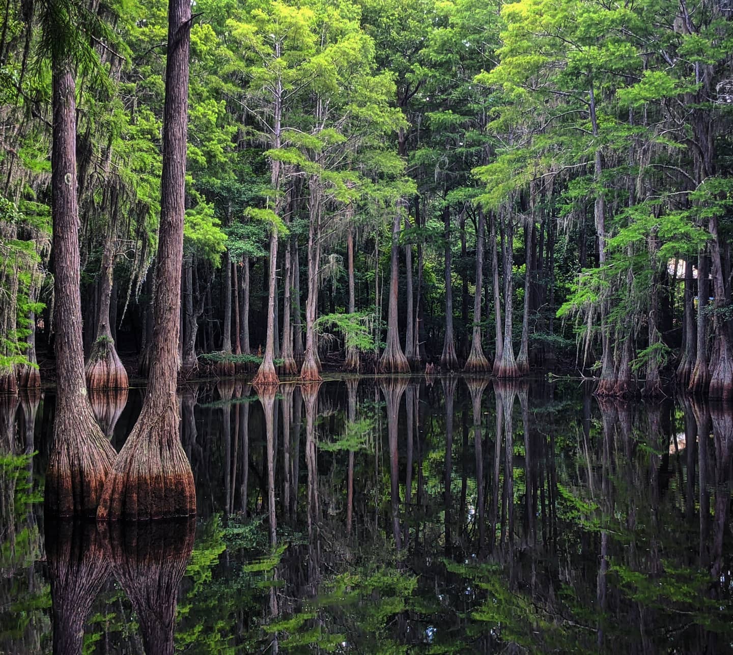 Apalachee Regional Park • Visit Tallahassee